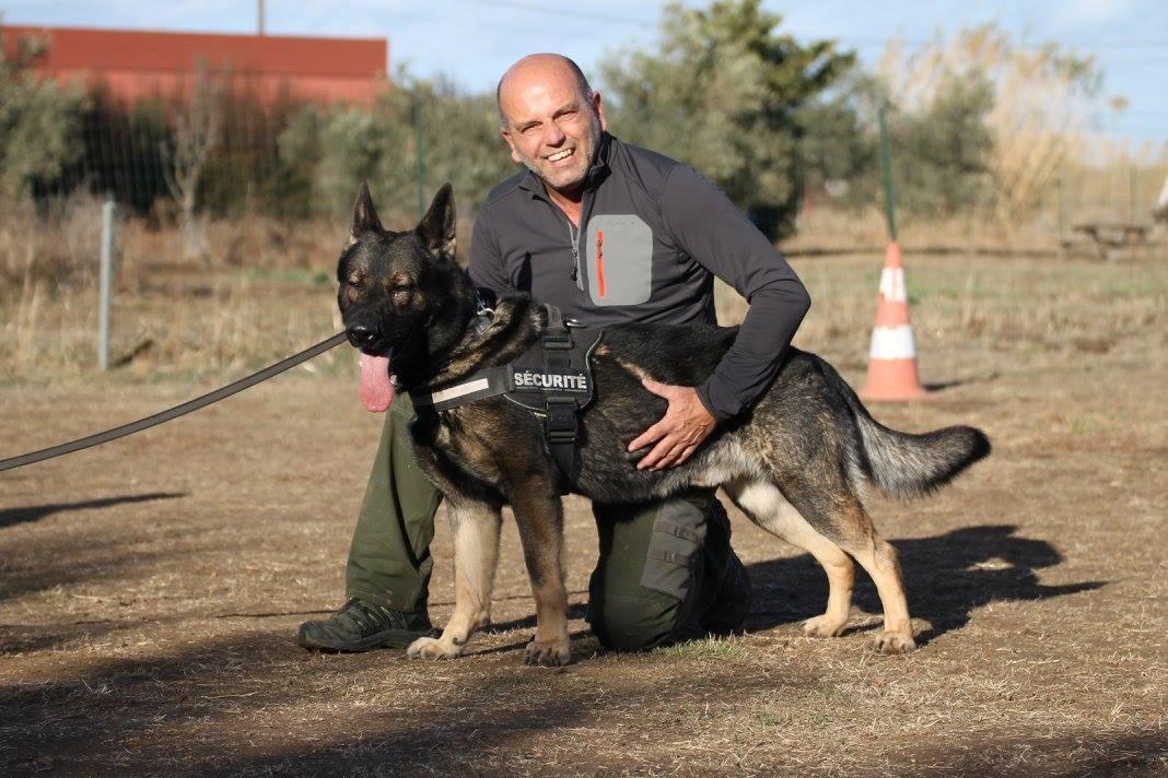 Dressage de chien Montpellier
